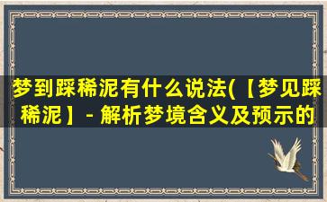 梦到踩稀泥有什么说法(【梦见踩稀泥】- 解析梦境含义及预示的事情)